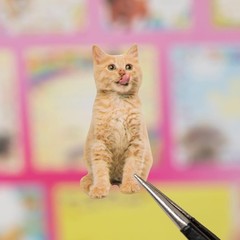Cat Sticker Book with Meme Stickers 30 Pages Over 800 Die Cut Stickers with 3…