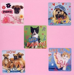 15 Rachael Hale Assorted Large Stickers – Puppies, Kittens, Cat, Dog, Bunny