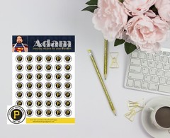 Pittsburgh Pirates Planner Stickers
