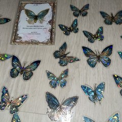 Blue Butterfly Butterflies 🦋 Holo Sticker Pack New Stickers Stained Glass Style