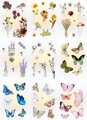 Transparent Flower and Butterfly Stickers for Scrapbooking, Journaling – Vint…