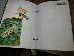 Pond Life Junk Journal Scrapbook USA Seller