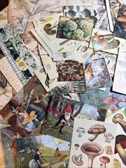 200+ cottage core mystical forest kit Lot Junk Journal Ephemera