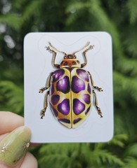 Insect Stickers SET OF 6 – Original Artwork by Ashley Dean | Bug Stickers