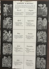 CELESTIAL Astrology Kit Book pages & cutouts cards 70+ Lot Unique Junk journal