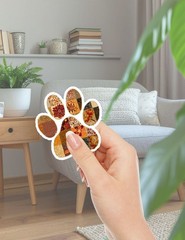 Patterned Paw Print Vinyl Die Cut Stickers Set Scrapbooking Laptop Water Bottle