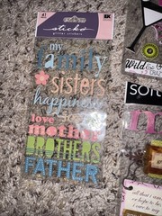 6 Sheets Female,Nurse, Family Scrapbook Or Card Making Stickers & Embellishments