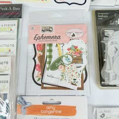 Glitz Scrapbook Stickers Embellishments Amy Tangerine Carta Bella LOT of 23 D