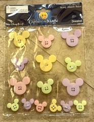 Disney Princess Capture the Magic Scrapbooking Sets & Stickers 5 Packs NEW