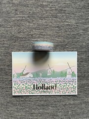 simply gilded Holland Tulips at dawn Planner & Deco deluxe Sticker kit Flowers