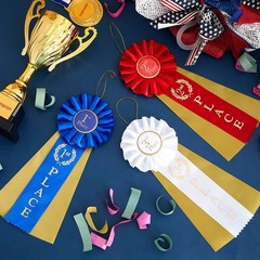 Award Ribbons Rosette Prize Set 1st 2nd 3rd Place 3 Pack