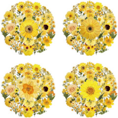 Pressed Flower Stickers 50-Pack, Transparent Yellow Waterproof Decals for Phone