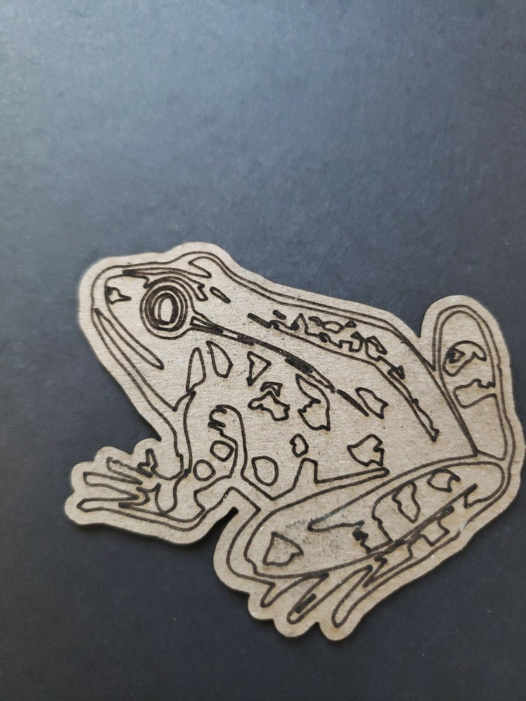 Chipboard Scrapbooking laser scored and cut die cut embellishment Frog #2