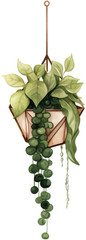 Plant Themed: Scrapbooking PNG Sticker Printables DIY Diary Planner Decor Fun