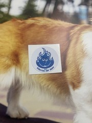 WW Small ScratchNSniff Sticker Mod Natural Gas Scent