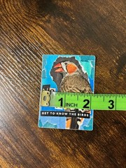 Birding Nature 3” Waterproof STICKER, Human Made Art, Finch Birdwatching Hiking