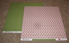 Echo Park 12×12 Double Sided Scrapbook Paper Lot of 8 ~ Spring Fling/Homegrown