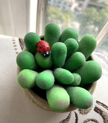 Enchanting 100 Mini Ladybug Stickers – Wooden, Self-Adhesive Garden Accents