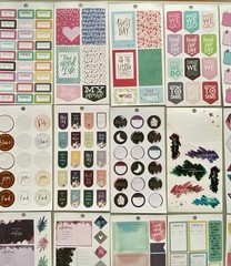Lot Of 40 Sheets Happy Planner Complete & Incomplete! #3