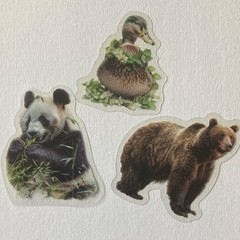 5 Multicolor Flakes Stickers Set – Animals & Insects Designs