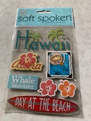 SOFT SPOKEN ME & MY BIG IDEAS 3D STICKERS HAWAII