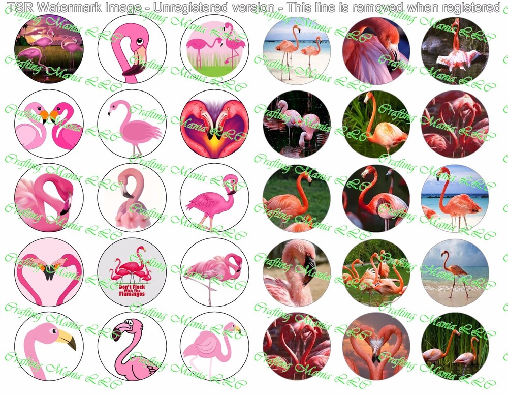 30 Precut 1″ Flamingos Bottle cap Image Set 1