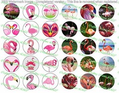 30 Precut 1″ Flamingos Bottle cap Image Set 1