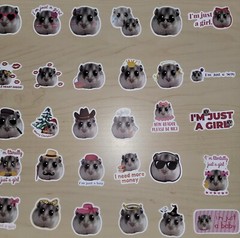 50 Cute Hamster Meme Stickers – Gerbil Guinea Pig