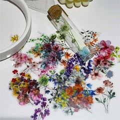 50Pcs Transparent Flower Stickers for Scrapbooking PET Nature Plant Sticker Flor