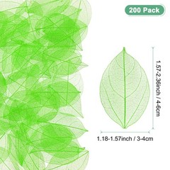 200-Pack Skeleton Leaves, Natural Rubber Leaves Vein[4-6cm, Green]
