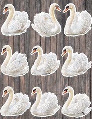 Swan Die Cut Vinyl Stickers Set Scrapbooking Laptop Water Bottle