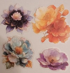 BB12E 12pc set Transparent Watercolor Flower Blooms Journal Crafting Stickers