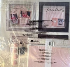 Creative Memories Baby Girl Display Accents In Pastel Delight Paper,