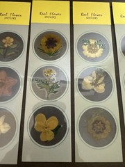 Lot Of 12 REAL Pressed Flowers Stickers Vintage Victorias Garden Scrapbook-36
