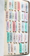 DiverseBee Laminated Bible Tabs – 84 Piece Set for Bible Study & Journaling
