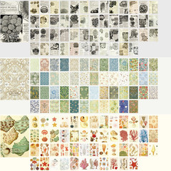9 Sets 450 Sheets Washi Stickers for Journaling, Plants Fruit Flowers Butterfly