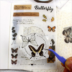 40 Sheets A6 Vintage Washi Stickers for Adults, Retro Butterfly Stickers with S