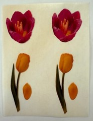 Vintage Magic Wax Pink Yellow Tulip Petals Green Stem Flower Scented Sticker Lot