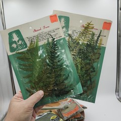 Lot 4 pkgs CHEMICAL STAINED pressed FERNS Taiwan Scrapbooking Paper Crafts NEW