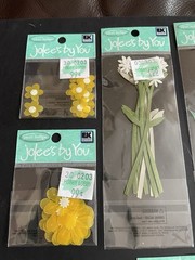 NEW Lot Of 14~JOLEES BY YOU Dimensional Stickers- Flowers & Leaves & Botanicals