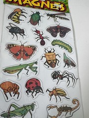 Vintage 90s Magnets Insects Bugs Sheet Fridge Magnets