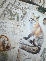 200+ cottage core mystical forest kit Lot Junk Journal Ephemera