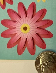 FLORAL Dimensional Stickers (7pc)Studio 112•Garden•Blooming •Outside•Card Making
