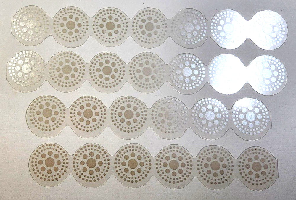 Sand Dollars Silver Accents Vellum K&Company Scrapbooking Stickers 4 pc 6″ x 1″