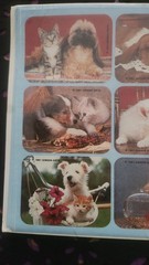 Vintage Gibson Puppy/kitty Stickers