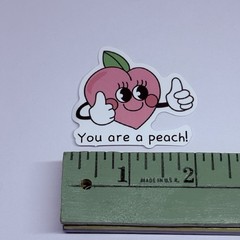 Cute Happy Fruit Peach Vinyl Art Sticker School Motivation Kids Matte Decals Tc9