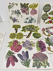 HTF Anna Griffin Trelliage Nature Die Cuts – 211 Die Cuts – AG 599 New