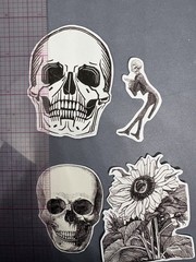 4 Sticker Set Black and White Line Art Skulls Flowers By Julie de Graag Skeleton