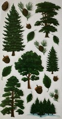 GREEN FOREST Mylar Stickers (19pc)Christmas Tree…Pine…Chestnut…Leaf…Card Making…