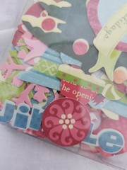 K&Co Die Cut Cardstock NIP Peppermint Twist Brenda Walton 130 Pieces